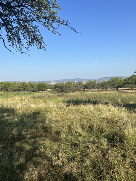 TEREN INTRAVILAN, 27.000 mp, Calea Turzii, Cluj-Napoca