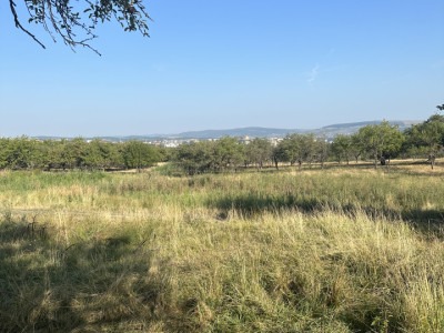 TEREN INTRAVILAN, 27.000 mp, Calea Turzii, Cluj-Napoca