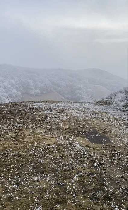 teren intravilan, str Salcamului