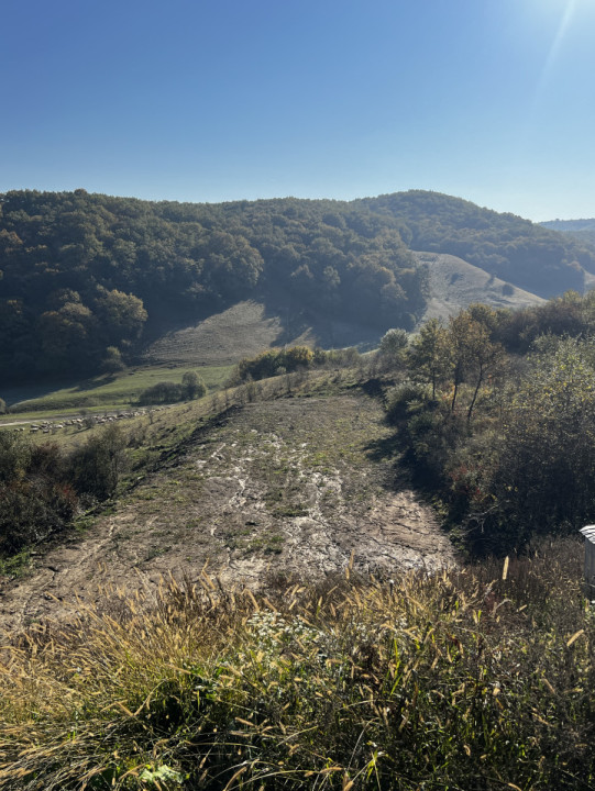 teren intravilan, str Salcamului