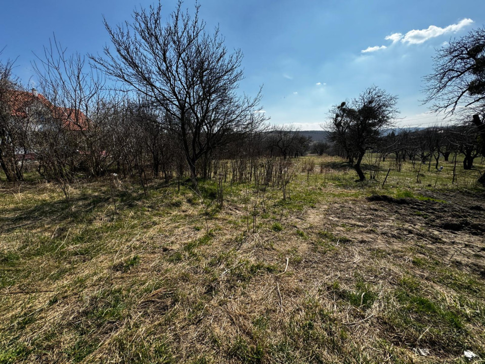 OPORTUNITATE! Teren intravilan, 9600 mp, zona Feleac