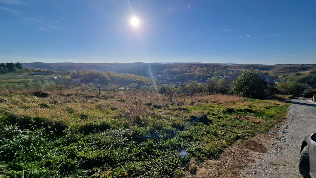 Teren Intravilan, pozitionat la strada principala, 10000mp, investitie