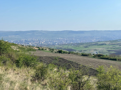 Teren extravilan de vanzare, 16810 mp, zona Valea Chintaului