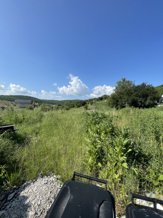 Casa cu teren de vanzare in Dezmir 