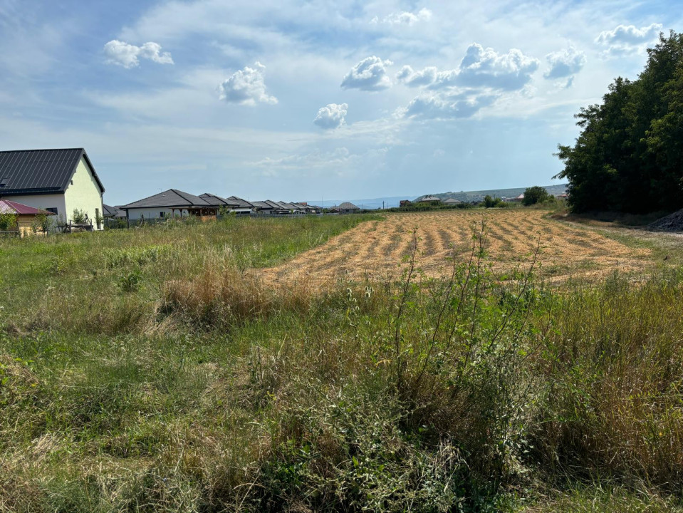 Teren Intravilan de Vanzare,Suprafata de 4120mp in Jucu de Mijloc