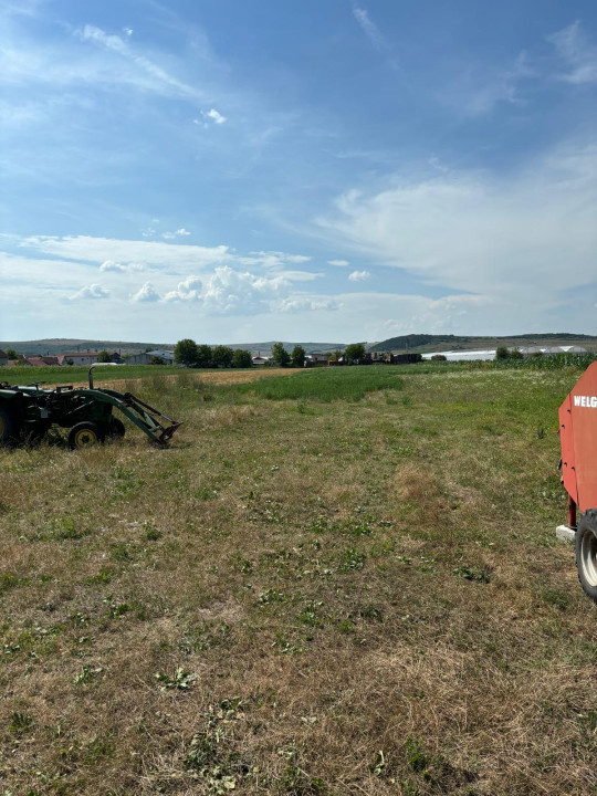 Teren Intravilan de vanzare,5800 mp in Jucu de Mijloc