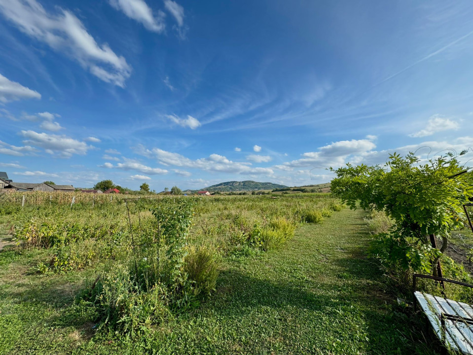 Casă individuală la cheie, 200 mp utili, 5800 mp teren, sat Fodora