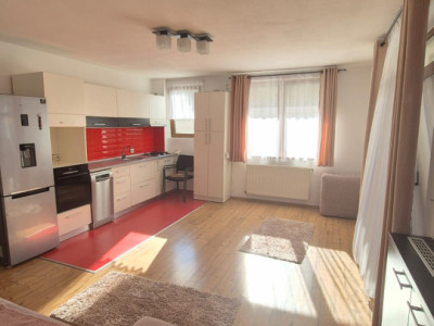 Apartament 2 camere la cheie, Manastur