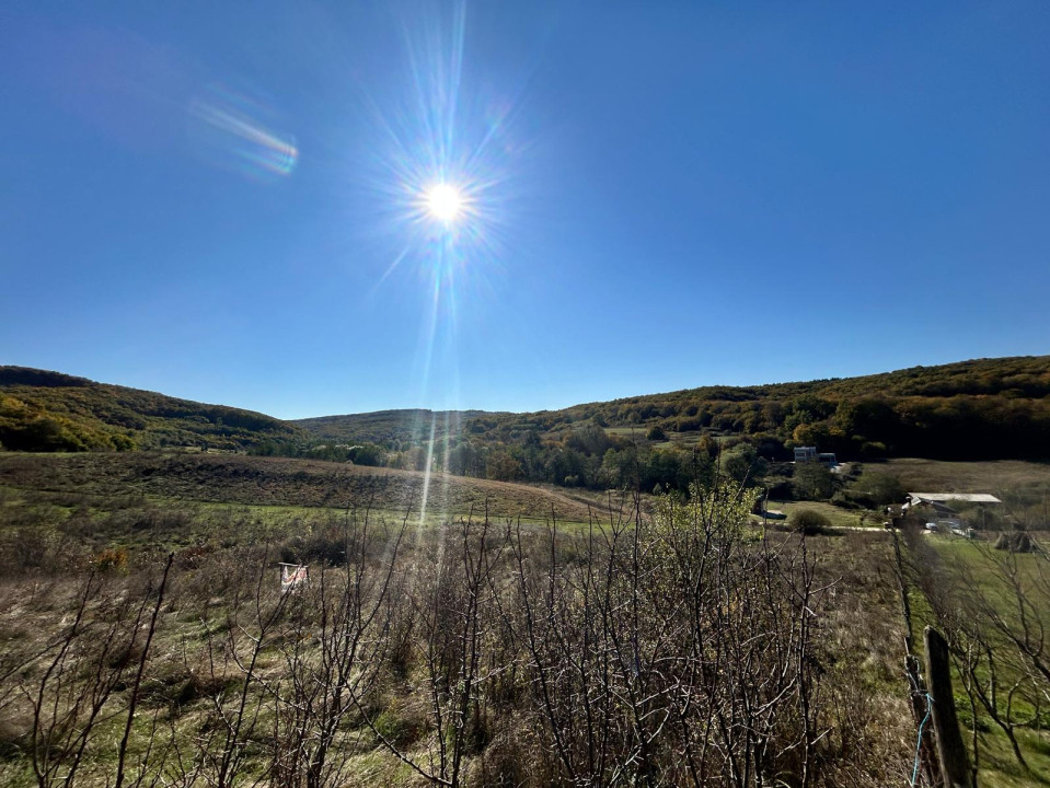 Teren de vânzare zona valea Gârbăului 