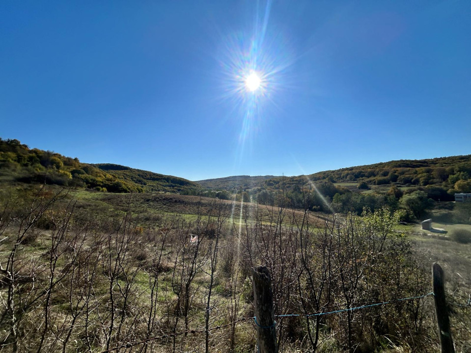 Teren de vânzare zona valea Gârbăului 