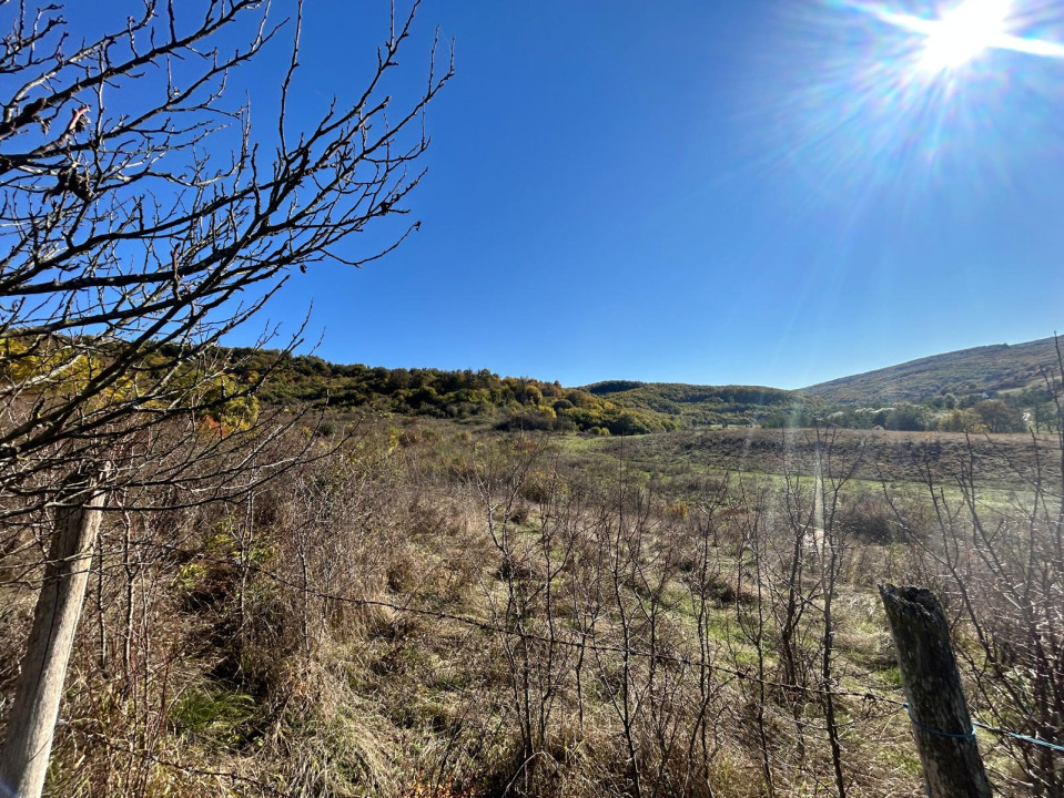 Teren de vânzare zona valea Gârbăului 