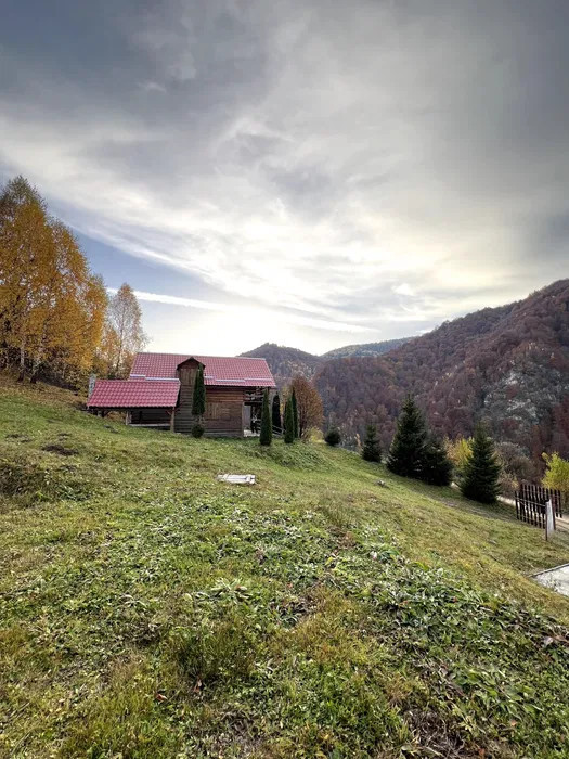 Teren 5ha in Muntii Apuseni, 2 Cabane, 3 parcele, padure, munte, in Valea Ierii