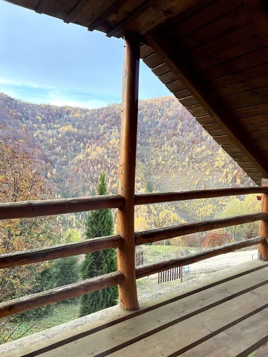 Teren 5ha in Muntii Apuseni, 2 Cabane, 3 parcele, padure, munte, in Valea Ierii