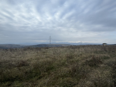 Teren intravilan 13000mp,posibilitate constructie casa individuala si duplexuri