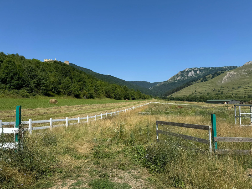 Teren pentru sala de evenimente, 9000mp, fundatie turnata, Rimetea