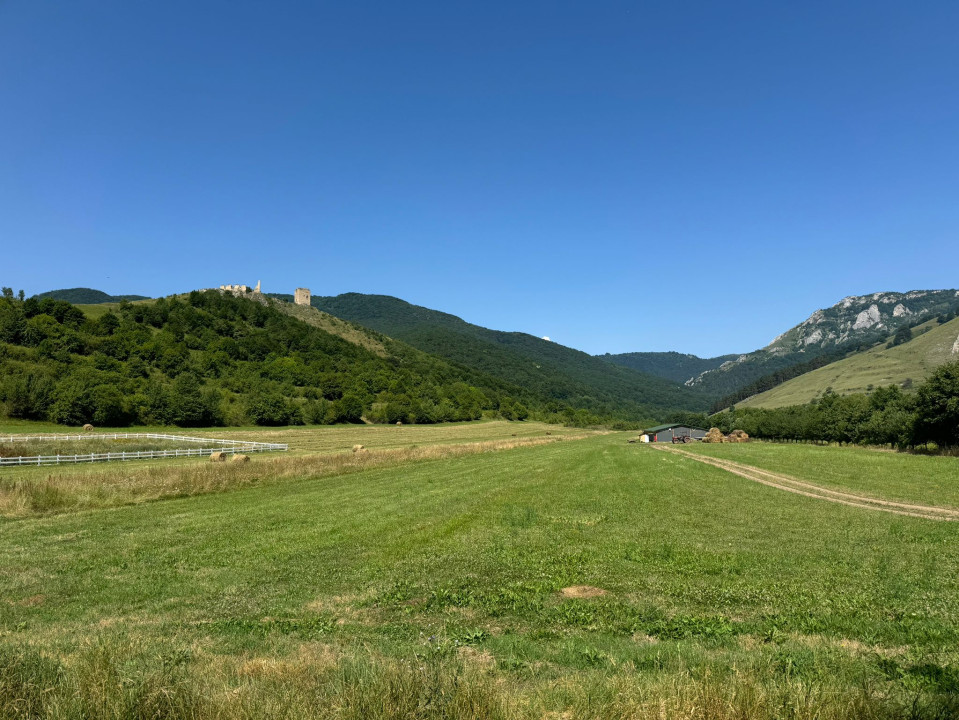 Teren pentru sala de evenimente, 9000mp, fundatie turnata, Rimetea