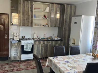 Apartament 2 Camere Cu Curte, 42mp, Zona Dumitru Mocanu