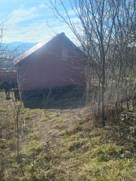 Ocazie!Casa de vacanța Apuseni,Braisoru Cluj.